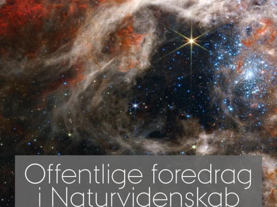 Naturvidenskab